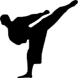 Kyokushin Budo Kai Guide icon