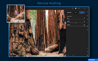 Adobe Lightroom: Photo Editor (Premium Unlocked) 8.1.2 MOD APK 8.1.2  poster 12