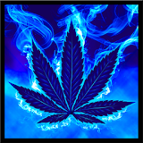 Blue Weed Rasta Keyboard icon