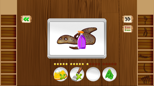 Dino Fossil Hunt Game