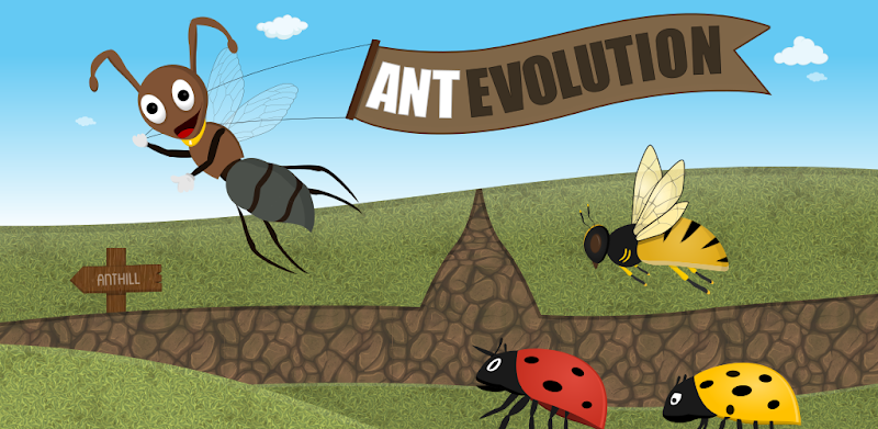 Ant Evolution : Insect Life