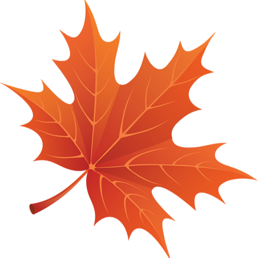 🍁 🍂🍃 Autumn Maple Leaves 3D