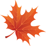 🍁 🍂🍃 Autumn Maple Leaves 3D icon