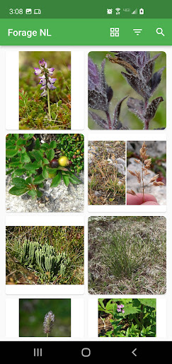 Forage NL Screen 3