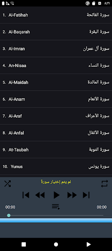 Shatri full Quran offline mp3 screenshot 7