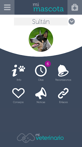 Mi Veterinario Screen 3