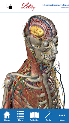 Human Anatomy Atlas for Lillyのおすすめ画像1