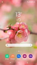 Blume Fruhling Wallpaper Hd Apps Bei Google Play