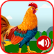 Rooster Ringtones - Androidアプリ