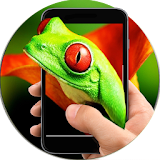 Frog On Hand In Phone Prank icon