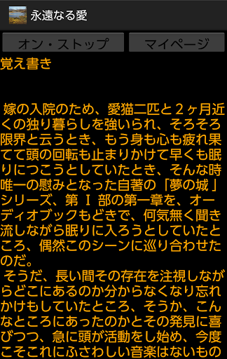 永遠なる愛 Screen 3