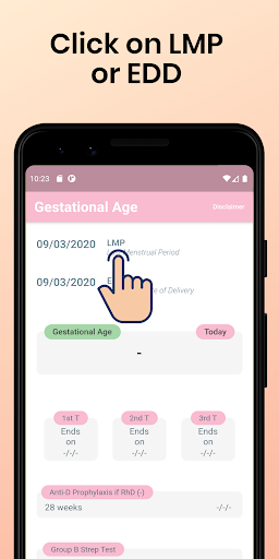 Gestational Age Screen 3
