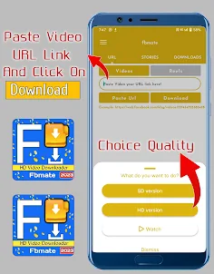 Fbmate FB Video Downloader