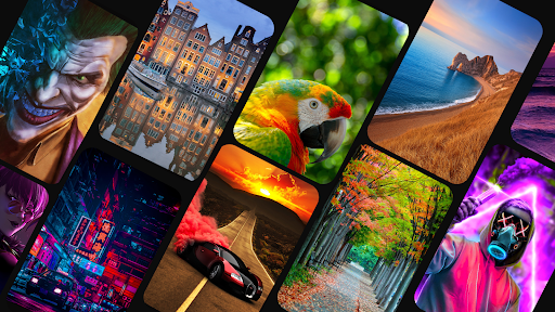 HD Wallpapers Backgrounds