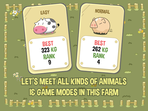 Royal Cow New Adventure