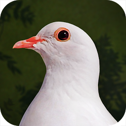 Destiny Dove: Download & Review