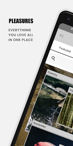 Android application PLEASURES NOW screenshort