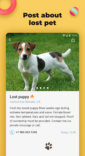 Lost Pet — find my lost pet Screen 3