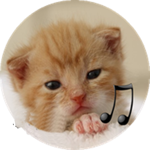 calling cat logo