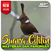 Top 47 Music & Audio Apps Like Suara Master Cililin Ngerol Panjang OFFLINE - Best Alternatives