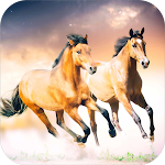 Cover Image of Baixar Horse Wallpapers  APK