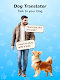 screenshot of Dog Translator & Dog Keyboard