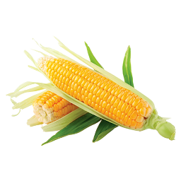 Icon image Corn: from "A" to "Z"