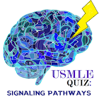 USMLE Quiz: Signaling Pathways 10.2.7