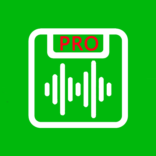 Voice Exporter for Wechat logo