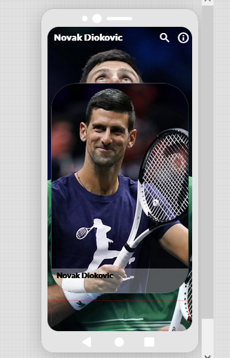 Novak Djokovic Life - 1.0.0 - (Android)