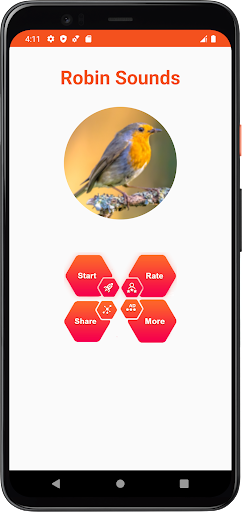 Robin Sounds Screen 2