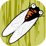 Cicada Hunt icon