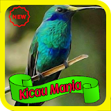 Masteran Kolibri Ninja Mp3 Gacor icon