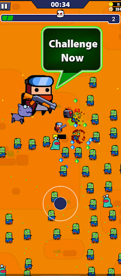 Survivor.IO - Screenshot 3