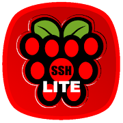 Top 47 Tools Apps Like Raspberry SSH Lite Custom Buttons - Best Alternatives