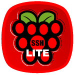 Raspberry SSH Lite Custom Buttons Apk