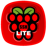 Raspberry SSH Lite Custom Buttons