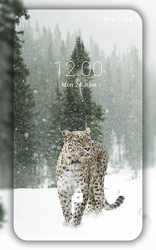 Winter Wallpaper