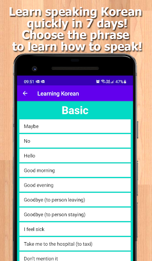 Learn Korean Phrasebook Screen 2