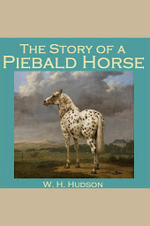 Obraz ikony: The Story of a Piebald Horse