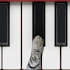 Cat Piano4.0.3