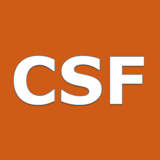 Copper State FIT logo