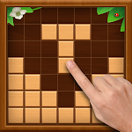 Cover Image of Download Wood Block Puzzle 2021 1.0 APK