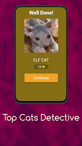 Cat Breed Identifier 10.2.6 APK + Mod (Free purchase) for Android
