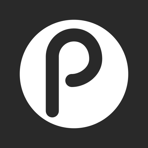 PINGHUB PIC logo
