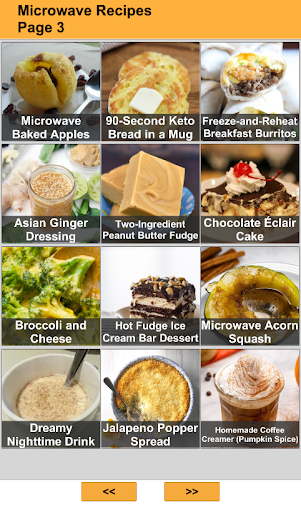 Microwave Recipes Offline Screen 3
