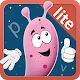 Articulation Essentials 2.0 - LITE Download on Windows