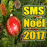 SMS Bonne année 2017 icon