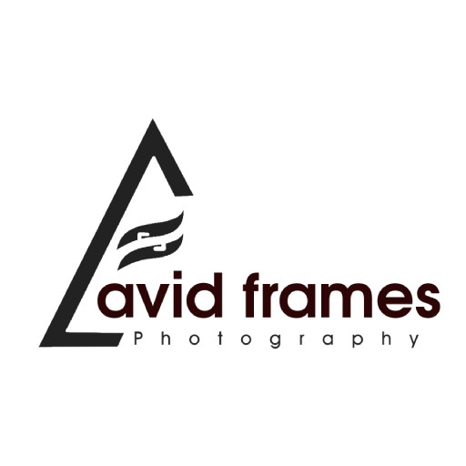 Avid Frames logo