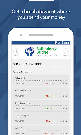 Ballinderry Bridge CU Screen 3